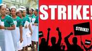Sawmill Hospital boss urges government to end nurses’ strike