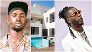 Beautiful mansions of Black Sherif and other African celebs that are making waves worldwide