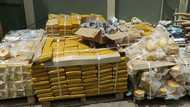 NACOB intercepts 5,851 weed slabs