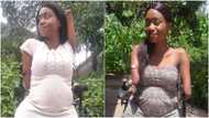 Lady born without limbs celebrates being pregnant; shares baby bump photos