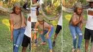 Hilarious TikTok video shows daring woman posing for picture with python but freaking out, peeps laugh