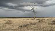 El Nino raises food security risk in southern Africa: FAO