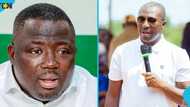 "Nobody has time to read it": Mustapha Gbande dismisses NPP's petition to Jubilee House