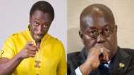 Ghanaians cheer on Kwaku Sintim-Misa for the #FixTheCountry comment about Akufo Addo