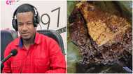 "How possible?": Ghanaians angry as Umaru Sanda shares sad photo of waakye bought for GH¢55