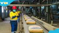 EPA orders popular cement company in Tema to shut down