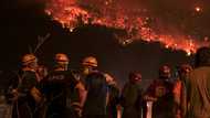 LA wildfires push insurance losses to highest since 2011: Munich Re