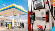 Fuel prices start to rise again after small enjoyment in January