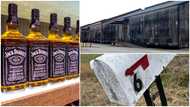 Jack Daniel's ordered to stop the construction of a new barrel house over a fungus epidemic