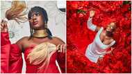 Cuteness Overload: Asantewaa takes pictures with over 1000 roses to mark Valentine's Day; many drool over her red wig