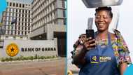 MTN Momo ordered to suspend new 0.75% wallet to bank transfer fee