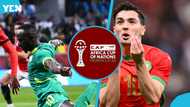 Senegal vs Morocco: Fans react in droves ahead of historic AFCON final