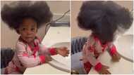 Little girl with a pretty smile flaunts thick natural hair in adorable video, people react: “She too cute”