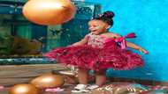 Baby Maxin: Cutest photos of Nana Ama McBrown and Maxwell Mensah's daughter