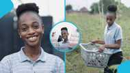 Young Nigerian lady develops digital platform to link farmers to consumers and reduce post-harvest losses
