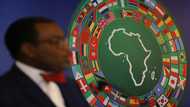 'Resilient' Africa set for growth rebound: ADB