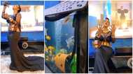 Nana Ama McBrown shows off her aquarium and huge flatscreen TV in video: "You are blessed"