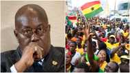 54% of Ghanaians say ‘Akufo-Addo must Go’, according to new poll