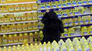 World food prices rise for first time in 7 months: FAO
