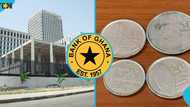 BoG issues strong warning to Ghanaians rejecting cedi coins, offenders risk jail term
