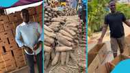 Meet Kofi Mantey, a young Ghanaian man making millions from selling yam: “My colleagues mock me”