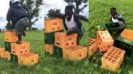 Shatta Bandle falls heavily as he joins the viral crate challenge; hilarious video cracks ribs