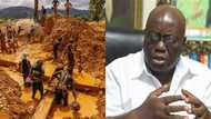 Go to court if you think it is wrong to burn galamsey excavators – Akufo-Addo