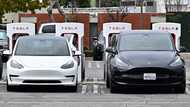 Tesla troubles: Speed bump or early signs of impending crash?