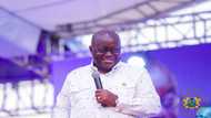 Ghanaians must ensure our next elections is free and fair - Nana Addo