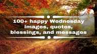 100+ best happy Wednesday images, quotes, blessings, and messages