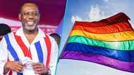 NAPO accuses Mahama administration of attempting to sneak LGBT+ content into basic school curriculum