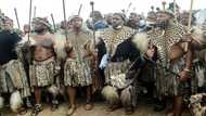 S.Africa's Zulus to crown new king as succession row rages
