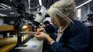 US hiring tops expectations in November as wages pick up