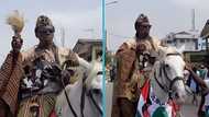 Mahama's swearing-in ceremony: Kwaku Bonsam storms inauguration grounds on a horse