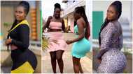 Curvy ladies in tight dresses turn heads with wild dance moves, slaying video stirs reactions