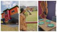 Crazy-looking House in South Africa: All furniture upside down