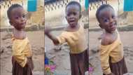 It is 'make-art' - Little girl cracks ribs after she was asked about funny makeup on her face