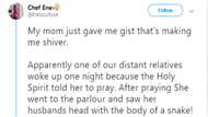 Lady chills social media with story of how her relative's pastor husband transformed to half snake, half human