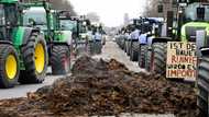 Germany drops planned subsidy cuts after farmers protest