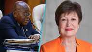 2024 elections: Akufo-Addo allays fears of derailing IMF programme with overspending