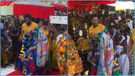 Otumfuo at 25: Cheddar makes grand entrance at Manhyia gifts Asantehene white horse