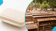 Government to stop using wooden furniture in schools, ban import of Styrofoam food packs