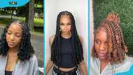 Top 20 invisible locs hairstyles to try: Trendy and classy protective hairstyle