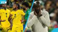 10 Black Stars players who must make Otto Addo's World Cup squad