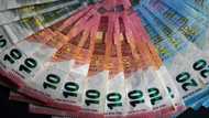 Birds or rivers on euro notes? Europeans can weigh in