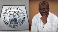 IMF Bailout: Gov't, Fund to attain Staff-Level Agreement Programme by end of year for economic growth