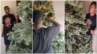 TikToker shares a video showing how he woke up to find a Christmas tree in his living room