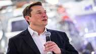 Elon Musk ignores fans who begged him for job on Twitter; not moved by their many tweets at him