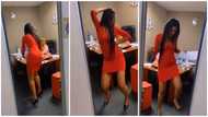 Pretty lady in heels surprises her boss as she shows off sweet dance moves at the office in viral video