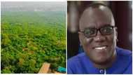 Late Sir John lists vast acres of Achimota Forest lands among his properties in will